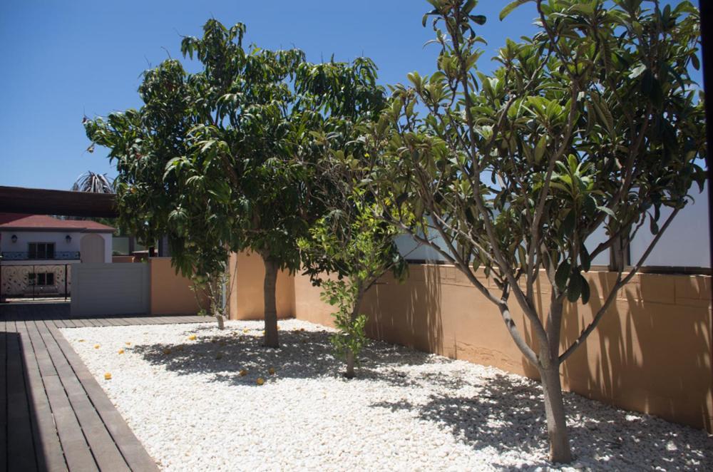 Villa La Marosca - Jacuzzi, Private Pool, 3 Bedrooms Caleta De Fuste Exteriör bild